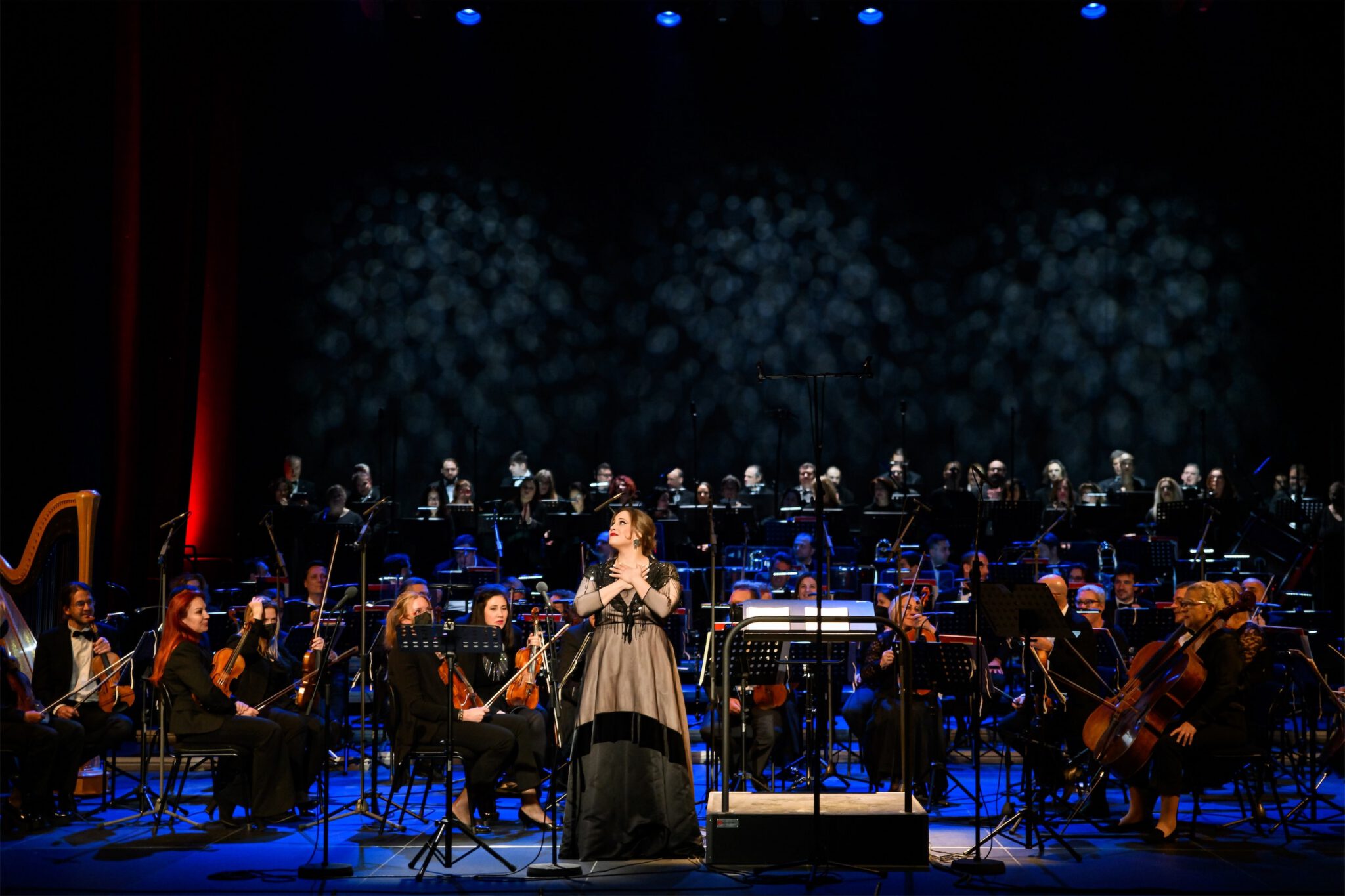 Callas - Φεβρουάριος 2024